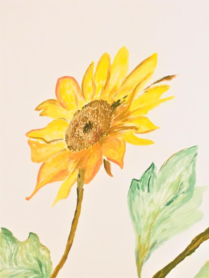 Апартаменты Il Girasole Каприно-Веронезе Экстерьер фото